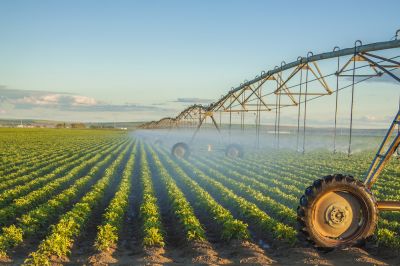Get an Irrigation System Installed!