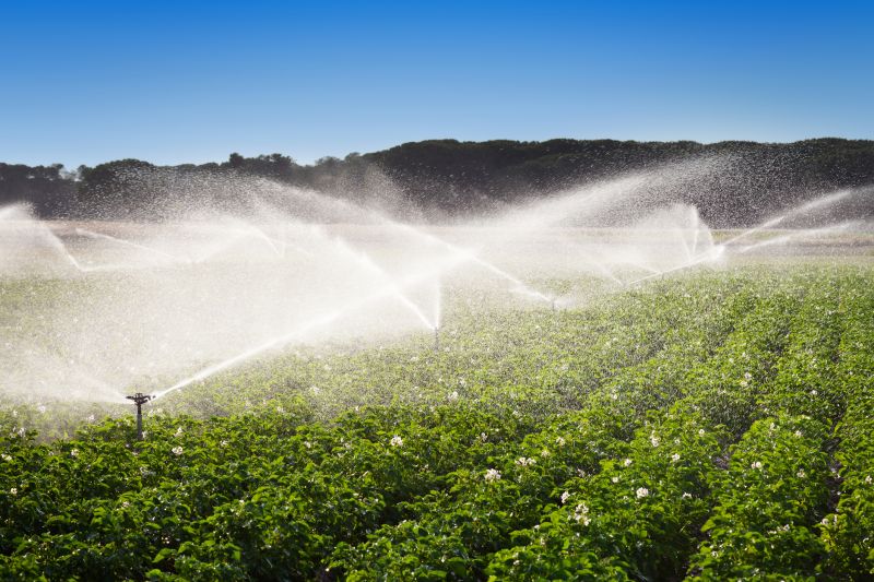 Irrigation Service