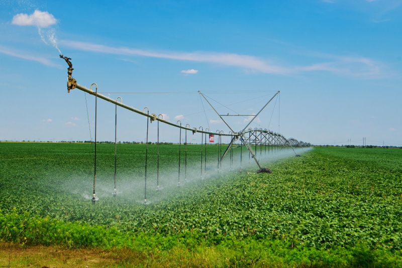 Irrigation Service Cost — Cost of Irrigation Service