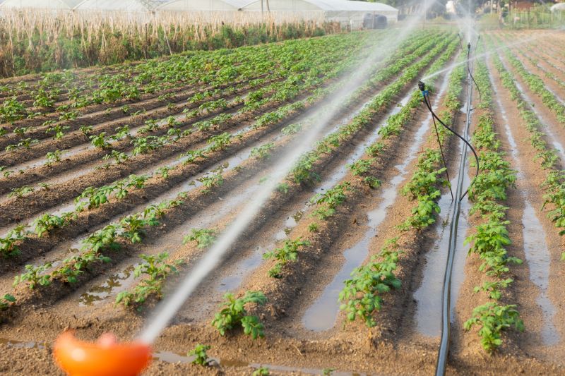 Irrigation Service Cost — Cost of Irrigation Service