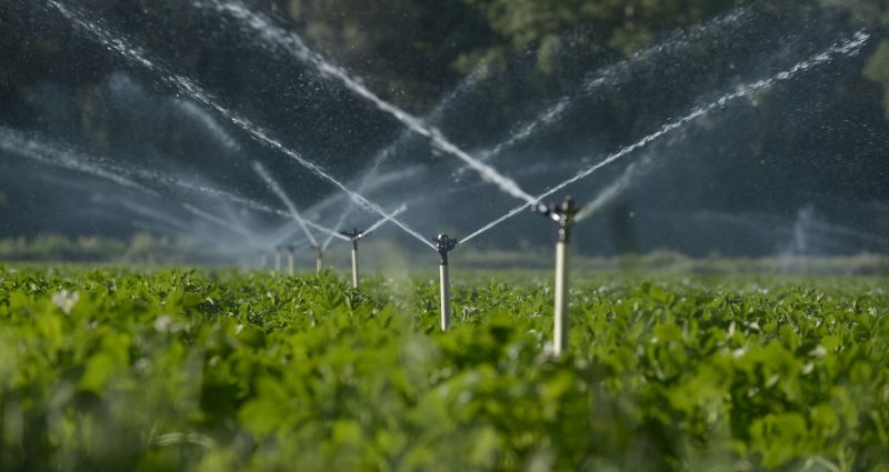 Irrigation Service Cost — Cost of Irrigation Service