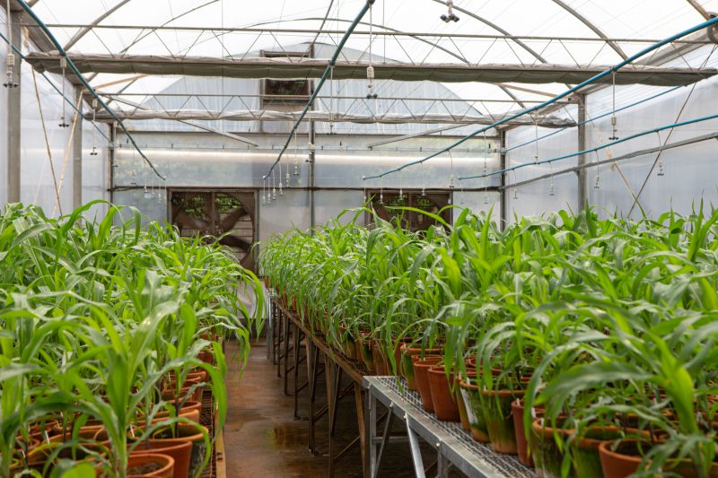 Budget-Smart Upgrades