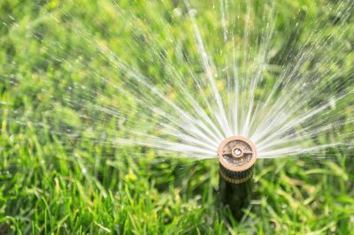 Lawn Sprinkler System in Fall